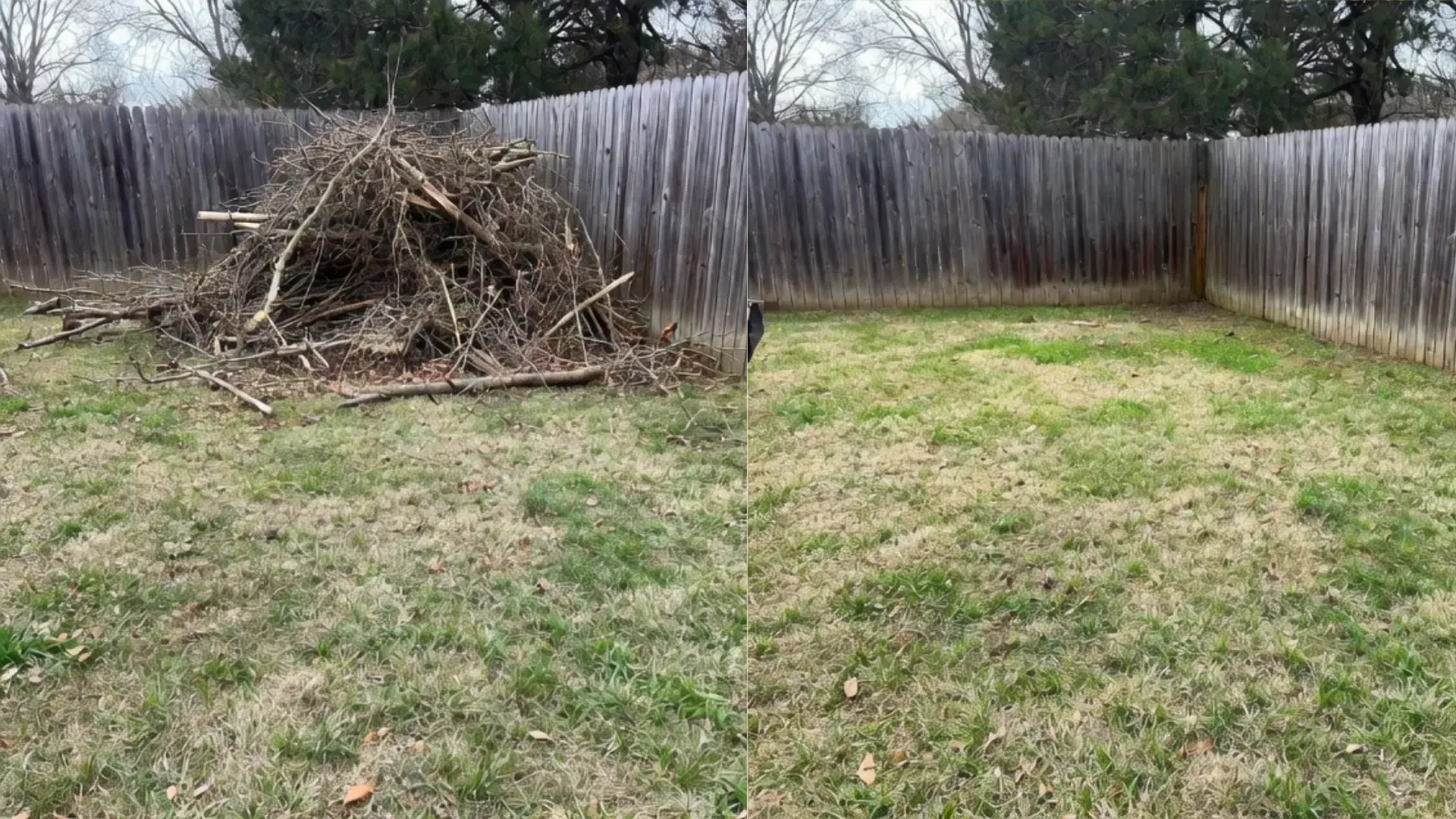 Yard debris and brush cleanup by Chums Junk Removal in Northwest Arkansas
